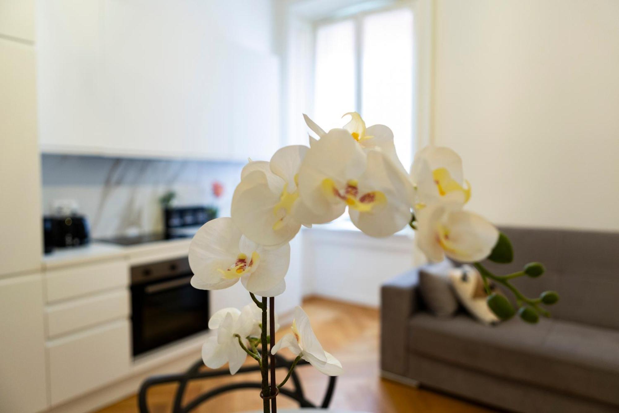 Macchi Delicious Apartment By 101Flats ميلان المظهر الخارجي الصورة